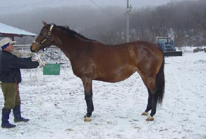 ���нÿ��ϵ�Ĺ ����