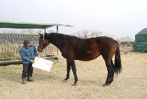 Ŭ����ƽ�ũ�� (CLAUDIA��S SECRET) ����