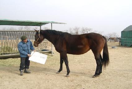 Ŭ����ƽ�ũ�� ����