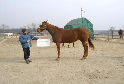 ������� ����