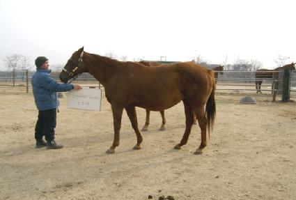 ��Ʈ��Ƽ�������� ����