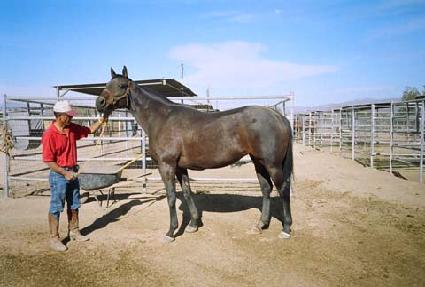 �и��÷��� ����