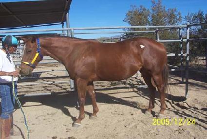 ���̵�ν���� ����