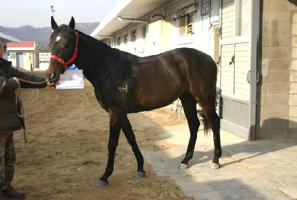 ������ ����