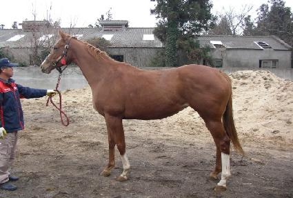 ���׼���Ʈ ����