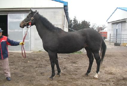 ���߸� ����