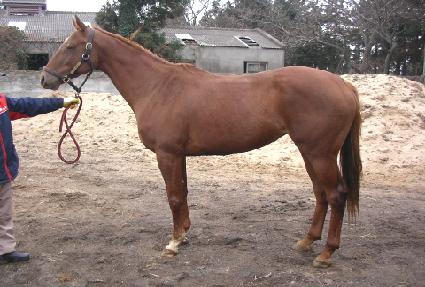 ������ ����