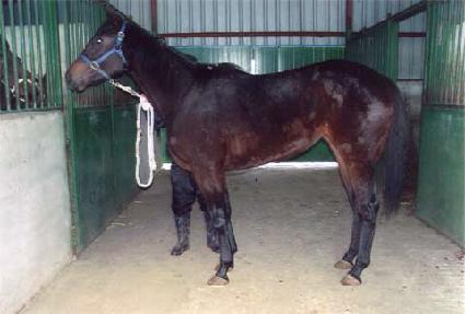 ���̺��� ����