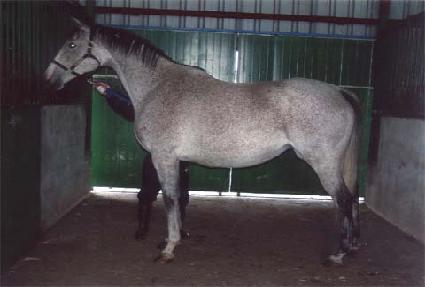 ����ͽ����� ����