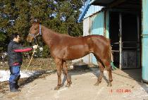 Ŭ䷻ (CIRCLE FERENCE) 