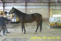 Ÿ�߼���Ű���� (TAYASU YUKI HIME) ����