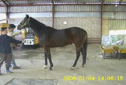 Ÿ�߼���Ű���� ����