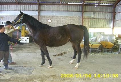 �͸��κ긮�� ����