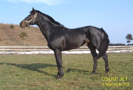 ��������Ʈ ����