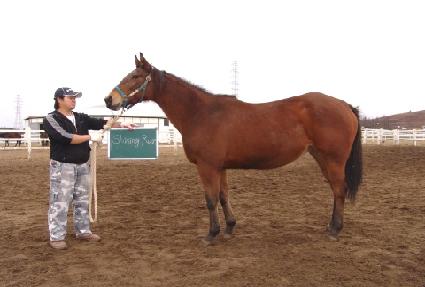 ���̴׷��� ����