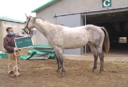 �ǹ����׿��� ����