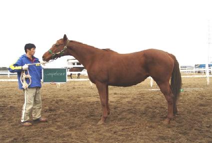 į���Ͻ� ����