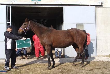 �ֵ�Ʈ��� ����