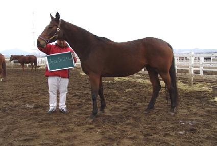 �췹�������ø�Ʈ ����