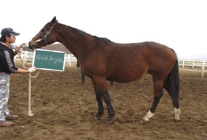 ���������� ����