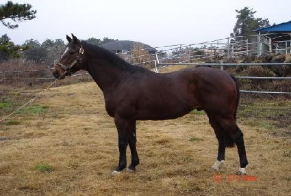 �߽ø����� ����