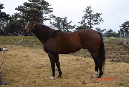 ��ͽż���Ű ����