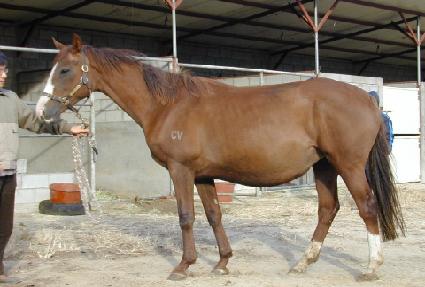 ī�۹� ����