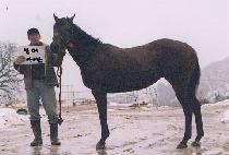 ���Ӿ��̽� (SUMMER ICE) ����