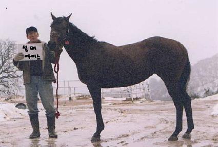 ���Ӿ��̽� ����