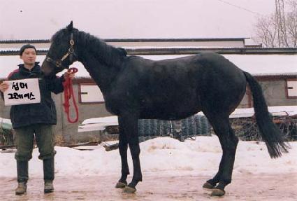 ���ӱ׷��̽� ����