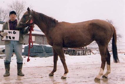 Ű������� ����