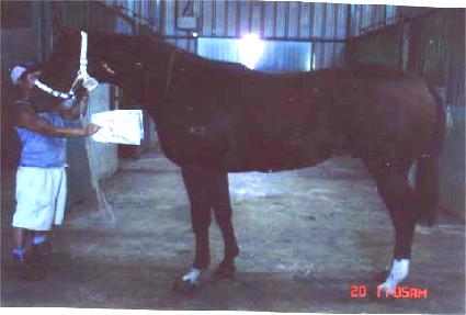 ����ڸ� ����