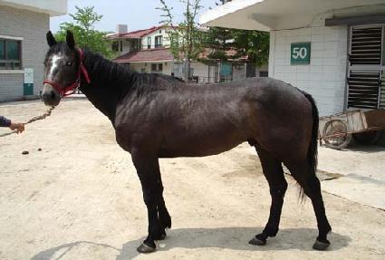 õ������ ����