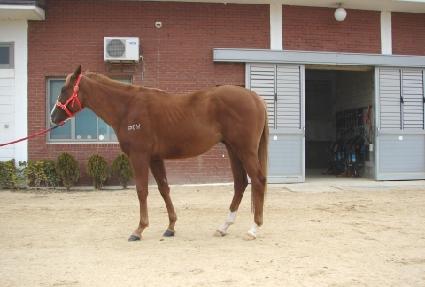 �������屺 ����