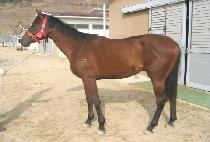 ��������Ʈ (MUHAN POINT) ����