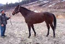 �ְ��ڸ� (CHOEGO JARI) ����