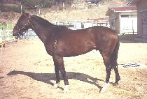 �������� (MUPAE JEONSEOL) ����