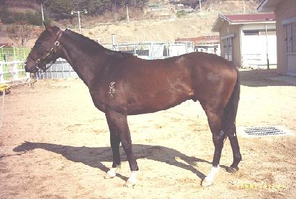 �������� ����