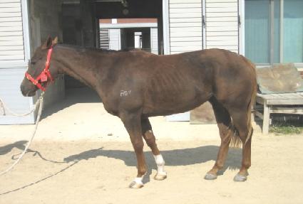 �ٶ���ȥ ����