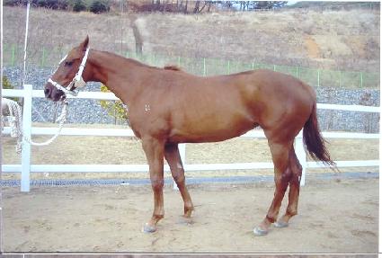 �����屺 ����