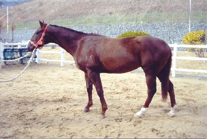 ȣ�����丮 ����