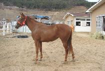 ������ (SEORAEBONG) ����