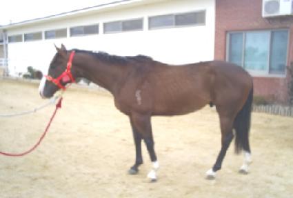 ����Ʈ����ũ��� ����