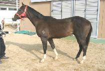 ���Ѱ��� (DAEHAN GANGJA) ����