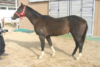 ���Ѱ��� ����