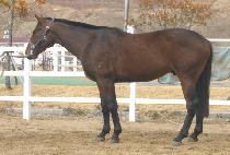 �ΰ渶�� (BUGYEONG MARU) ����