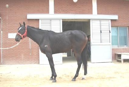 ������ ����