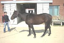 �ǹ̽��� (UIMI SIMJANG) ����