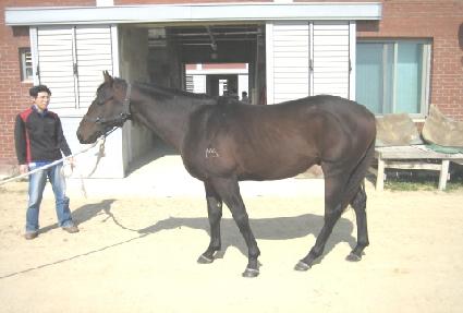 �ǹ̽��� ����