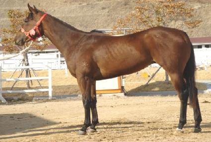 ���̰��� ����